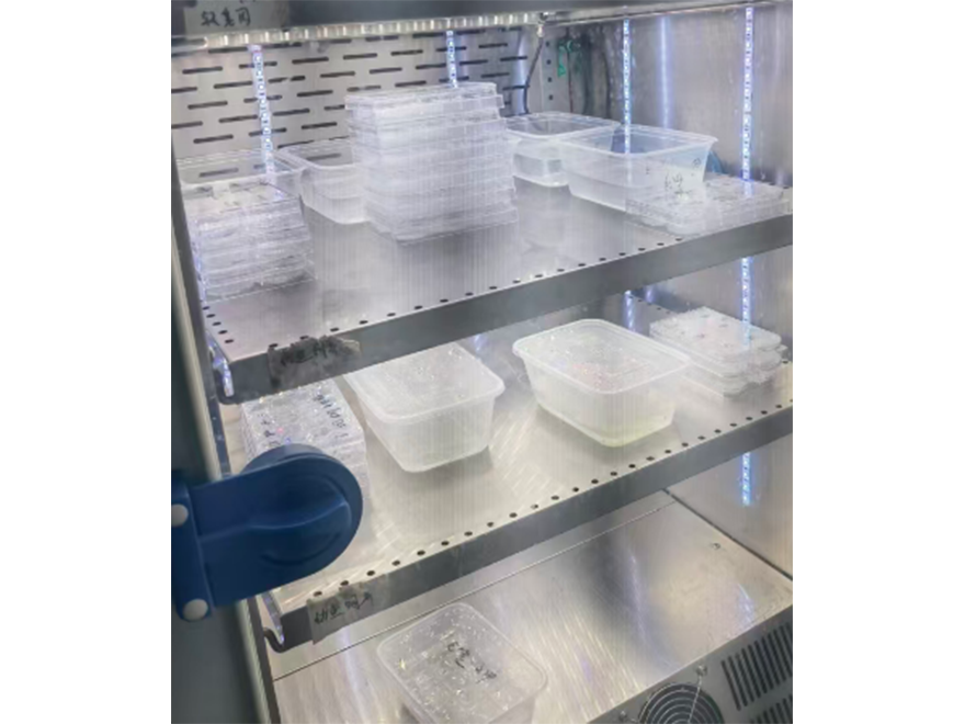 环美人工气候箱在斑马鱼实验研究中的应用